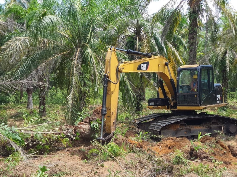Inilah Daftar Merek Excavator Terbaik untuk Perkebunan: Tergoda untuk Memiliki Satu?