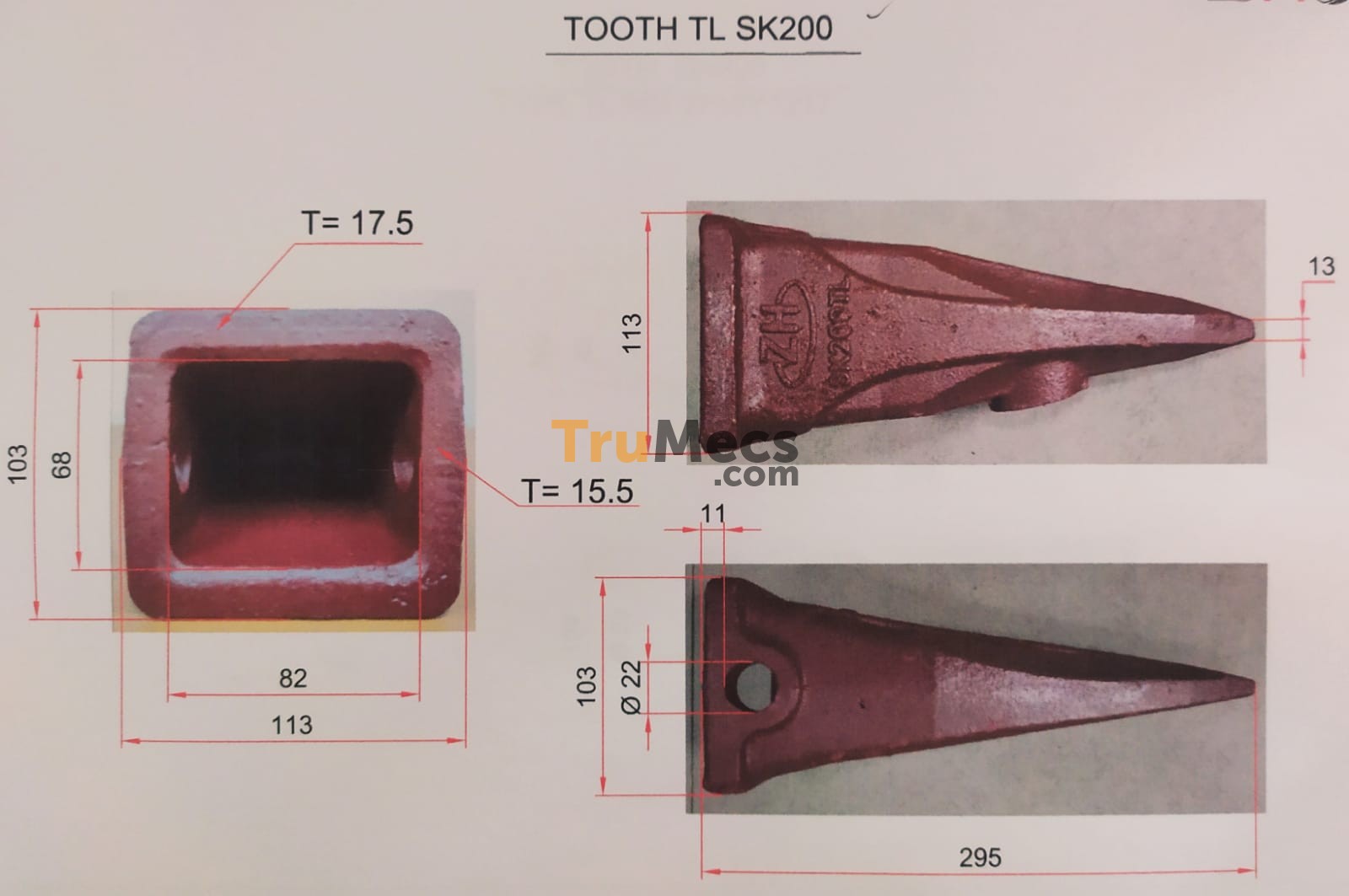 Jual Tooth Tiger (kuku Macan) | Trumecs