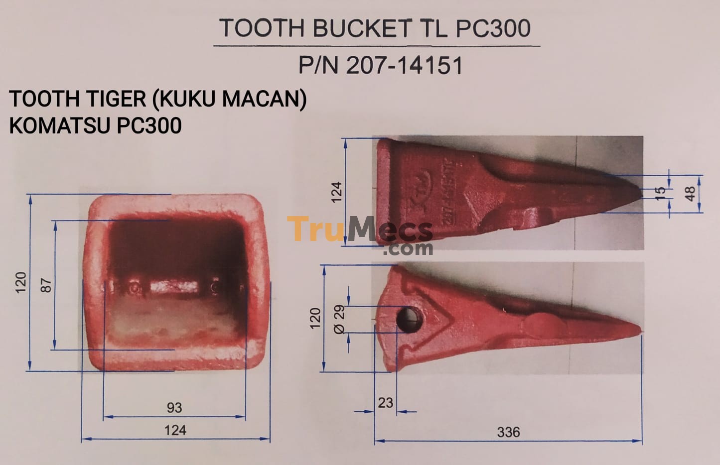Jual Tooth Tiger (kuku Macan) | Trumecs