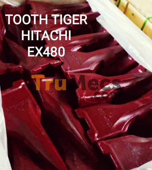 Jual Point Tooth Tiger (lancip) | Trumecs