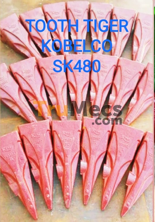 Jual Point Tooth Tiger (lancip) | Trumecs