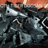TOOTH TIGER (KUKU MACAN)