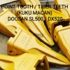 TOOTH TIGER (KUKU MACAN